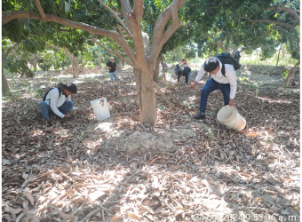 PRODUCCIÓN AGROPECUARIA