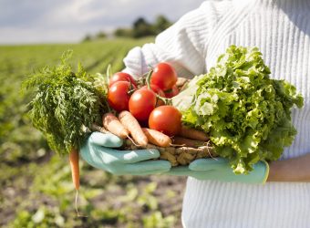 woman-holding-basket-full-different-vegetables