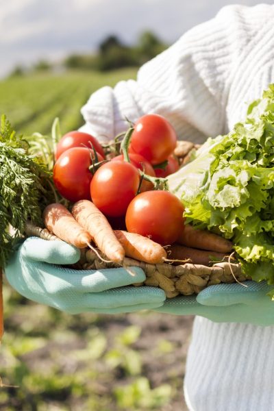 woman-holding-basket-full-different-vegetables